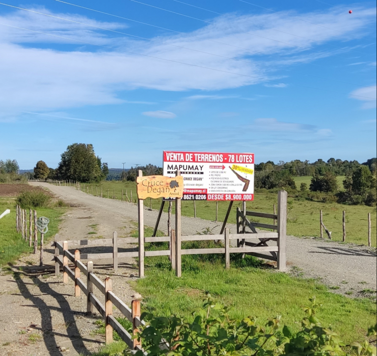 IMG_20211116_180739 (2)